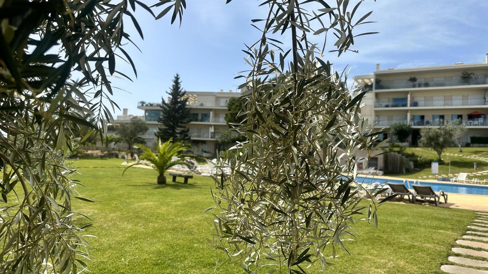 Charmant Appartement A 1Km De La Plage, Avec Piscine A Albufeira Buitenkant foto